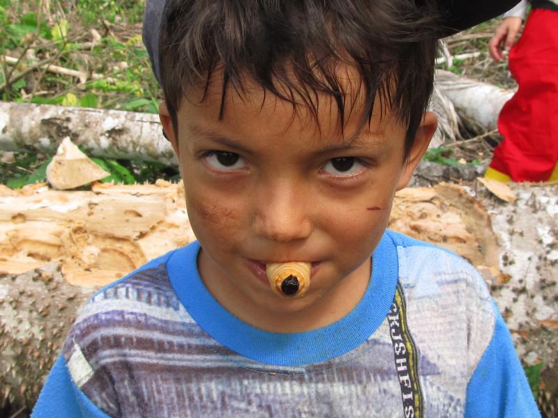 IMG 3825
Сача, пров. Орельана.