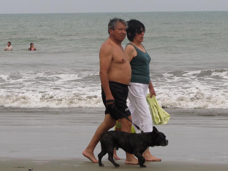 IMG 4934
Тонсупа.